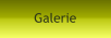 Galerie